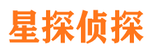 七星市侦探公司